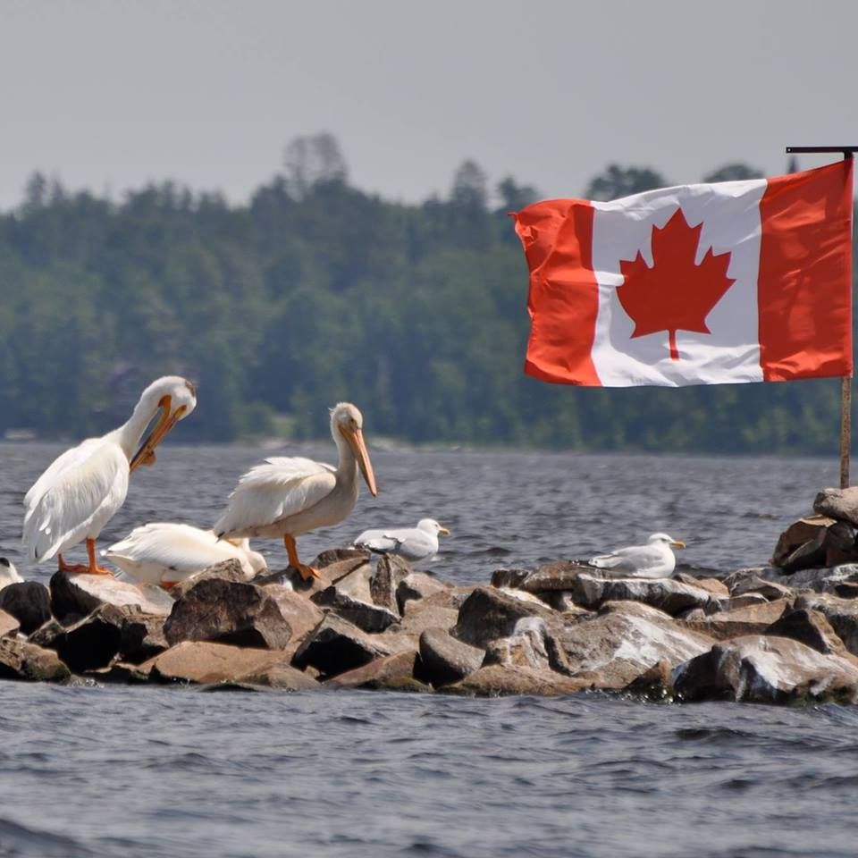 Sioux NarrowsNestor Falls Canada Day Celebrations Sunset Country